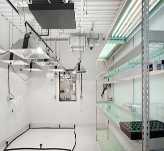 Plant isolation grow room