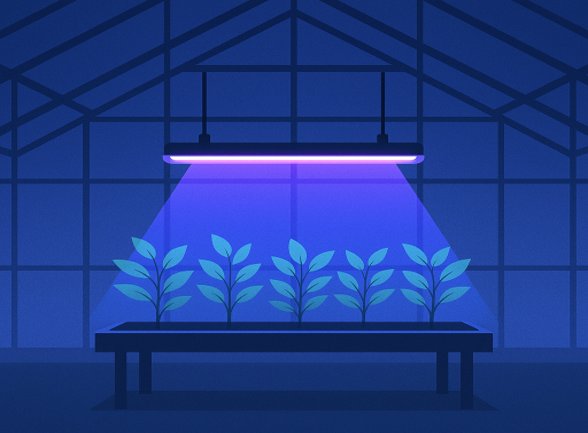 UV-C lightbar concept in greenhouse